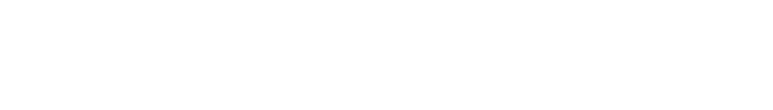 Noesis Consulting
